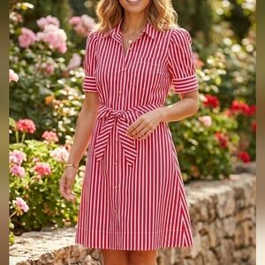 Anthropologie Striped Button-Down Midi Dress